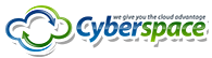 Cyberspace Networking Systems Pvt. Ltd.